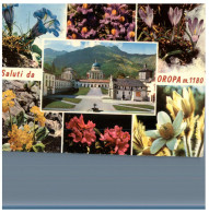 (DEL 254) Flowers - Fleurs - Oropa - Medicinal Plants