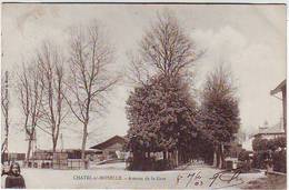 88. CHATEL SUR MOSELLE . AVENUE DE LA GARE . ANIMEE . - Chatel Sur Moselle