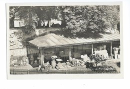 Delcampe - Avenches Antiquités Romaines Partie Du Musée - Avenches