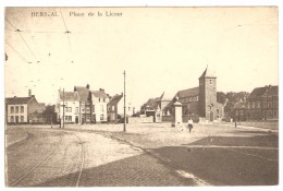 Delcampe - HERSTAL   ---   Place De La Licour - Herstal