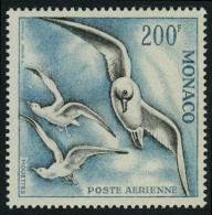 Neuf Avec Charnière N° 67, 200f Mouettes Dentelé 13, Cl, T.B. - Other & Unclassified