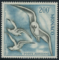 Neuf Sans Charnière N° 66/8, La Série Oiseau De Mer, Dent. 13, T.B. - Autres & Non Classés