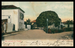 SÃO TOMÉ E PRÍNCIPE - Um Parasita, S. Thomé  (Mendes Lopes & Araujo) Carte Postale - Santo Tomé Y Príncipe