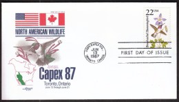 United States 1987 / Capex 87 / Toronto / Animals / Birds / Broad-tailed Hummungbird - Colibris