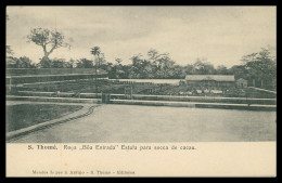 SÃO TOMÉ E PRÍNCIPE - Roça "Bôa Entrada"- Estufa Para Seca De Cacau ( Ed. Mendes & Lopes Araujo )carte Postale - São Tomé Und Príncipe