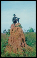 BISSAU - Monte De Baga-Baga ( Ed. Foto-Serra Nº 107)   Carte Postale - Guinea-Bissau