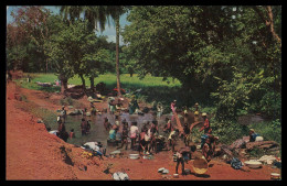 NOVA LAMEGO - LAVADEIRAS - - Lavadeiras Na Fonte ( Ed. Foto-Serra Nº 111)   Carte Postale - Guinea Bissau