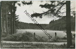 Brunshaupten - Rehwiese - Foto-Ansichtskarte - Kühlungsborn