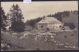 Cernier - Hôtel De La Vue Des Alpes Tel. 103 - Propr. Charles Nobs (14´402) - Cernier