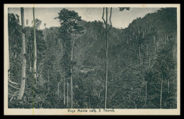 SÃO TOMÉ E PRÍNCIPE - Roça Monte Café S.Thomé.  Carte Postale - Sao Tome Et Principe