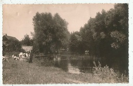 Bray Sur Somme   (80.Somme) La Somme Vue Du Port - Pêcheurs à La Ligne - Bray Sur Somme