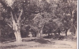 Carte 1919 ST JULIEN EN GENEVOIS / LA PROMENADE DU CRET - Saint-Julien-en-Genevois