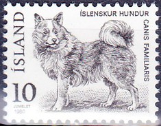 Timbre-poste Gommé Neuf** - Faune Animaux Nordiques Chien Islandais - N° 503 (Yvert) - République D'Islande 1980 - Ongebruikt