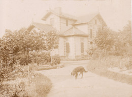 Photo Années 1900 NOGARO - Une Villa, Un Château (A159) - Nogaro