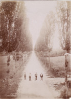 Photo 1906 NOGARO - Une Route, Allée (A159) - Nogaro