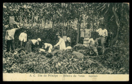 SÃO TOMÉ E PRÍNCIPE - A.C. Ilha Do Principe - Ribeira Da Forca.  Carte Postale - Sao Tome Et Principe