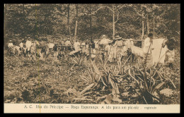 SÃO TOMÉ E PRÍNCIPE - A.C. Ilha Do Principe - Roºça Esperança: A Ida Para Um Pic-nic.   Carte Postale - São Tomé Und Príncipe