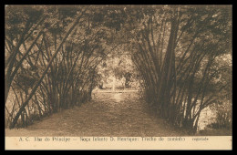 SÃO TOMÉ E PRÍNCIPE - A.C. Ilha Do Principe - Roça Infante D. Henrique: Trecho De Caminho .   Carte Postale - Sao Tome En Principe