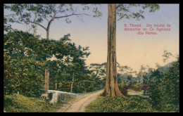 SÃO TOMÉ E PRÍNCIPE - Um Trecho De Dacambille Na Ca Agricola Dos Neves. Carte Postale - Sao Tome And Principe