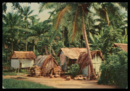 SÃO TOMÉ E PRÍNCIPE - Acampamento De Pescadores No Pantufo ( Cliché M. Silva Brito Nº 013) Carte Postale - Sao Tome And Principe