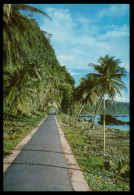 SÃO TOMÉ E PRÍNCIPE - Estrada Para Santa Catarina .  Carte Postale - Sao Tome En Principe