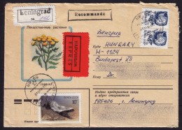 Penguin South Pole Penguins / Honey Badger - Leningrad 1990 CCCP Herb Plant Flower COVER LETTER / Express / Registered - Antarktischen Tierwelt