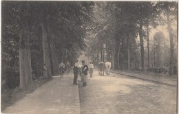 Petite Espinette - Chemin De Waterloo - Animée - 1907 - Edit. Hôtel De La Froêt De Soignes/.Nels - Uccle - Ukkel