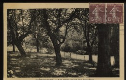 Delcampe - Biemoz Les Chataigniers Des Bruyeres - Diémoz