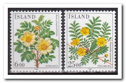 IJsland 1984, Postfris MNH, Flowers, Plants - Ongebruikt