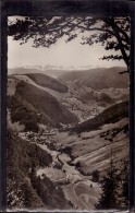 Todtnau Todtnauberg - S/w Blick Ins Wiesental Und Auf Die Alpen - Todtnau