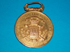 Médaille : 144 ém Régiment Territorial Du 15 16/ 7/1877  Société Du Tir Bagnerais " Bagière De Bigorre " Haute Pyrénnées - Frankrijk