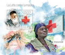 Togo 2013, Against Malaria, Red Cross, Dunandt, BF - Henry Dunant