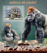 Togo 2013, Animals, Gorillas, BF - Gorilles
