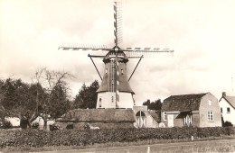 Milheeze : Molen ( Molenaar A.J. Verheyen ) - Gemert