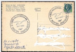 Italia/Italy/Italie: Mostra Ornitologica, Show Ornithological, Montrer Ornithologique - Mechanical Postmarks (Advertisement)