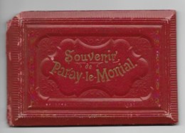 Souvenir De Paray Le Monial - Antiche (ante 1900)