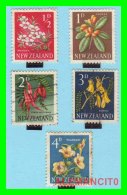 NEW ZEALAND - 5 SELLOS  AÑO  1960 - Usati