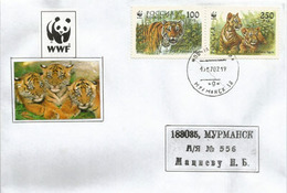 Le Tigre De Sibérie (tigre De L'Amour), Sur Lettre De Mourmansk (WWF) - Storia Postale