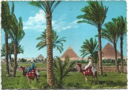 T559 Egypt - Gizeh - Giza Pyramids / Non Viaggiata - Pyramids