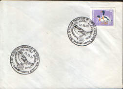 Romania- Occasional Envelope 1991 V.Dornei - Birds - Protected Birds During Passage - Whinchat Striated - Mechanical Postmarks (Advertisement)