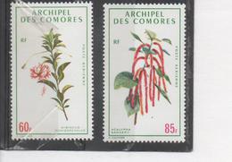 Comores -  Flore - Fleurs - Hibiscus Schizopetalus (Lanterne Japonaise),  Acalypha Sanderiana - - Airmail