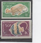 Comores -  Faune - Poissons - Diagramme Lineatus  (Diagramme à Bandes Diagonales), Zanclus Cornutus (Zancle Cornu) - Airmail