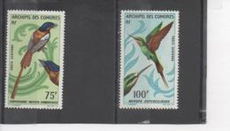 Comores -  Faune - Oiseaux : Terpsiphone Mutata Comorensis,  Guêpier De Madagascar (Merops Superciliosus). - Airmail