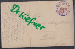 SCHWEIZ, Feldpost Militärpostst: Bataillon 41 4.Komp., Um 1910, AK: Junges Paar Vor Weihnachtsbaum - Other & Unclassified