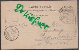 SCHWEIZ Feldpost Militärpostst: Feldpostbureau VII Division 9.IX.1904, AK: Kühe Im Bergtal - Other & Unclassified