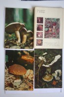 Russia. MUSHROOMS Set  - 25 Postcards Lot -  Mushroom - Old Postcard - - Champignon 1980 - Champignons