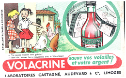 A V C/Buvard    Volacrine Castagné (N= 2) - Animaux