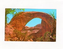 65612  Stati Uniti,  Rainbow Bridge,  NV(scritta) - Altri & Non Classificati