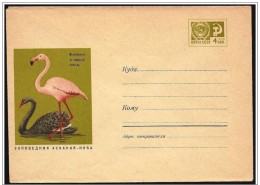 URSS - Intero, Stationery, Entier. Fenicottero, Flamingo, Cigno Nero, Black Swan, Cygne Noir - Flamencos