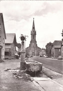 Carte Postale Des Années 50-60 Du 68 - Blotzheim - Place De L'Eglise - Cernay